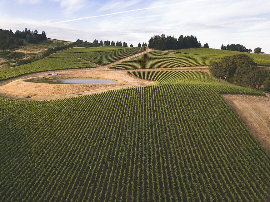 Agriculture
